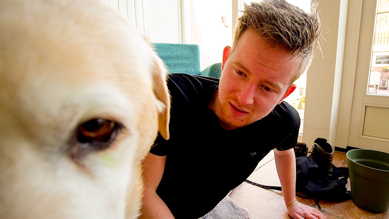 Creating A Daily Vlog In 1 HOUR