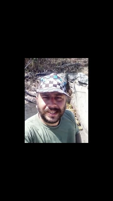 Just Pipes Vlog Collecting Grapes part 2