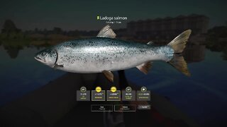 Russian Fishing 4 Volkhov River Ladogo Salmon 7 . 418 Kg (Trolling)