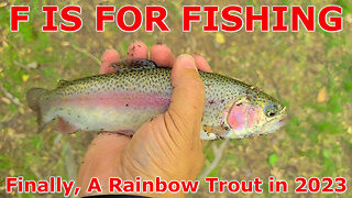 Finally, A Rainbow Trout in 2023