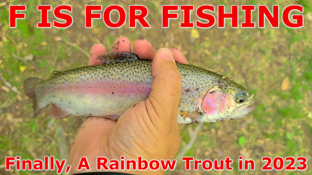 Finally, A Rainbow Trout in 2023