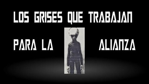 Reaccionamos A Los Grises Que Trabajan Para La Alianza