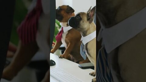 Dogs!!! Aprendendo!!! #shorts