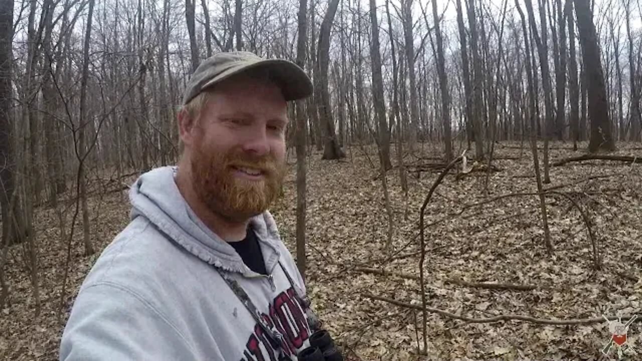 Public Land FIELD EDGE Bedding in HILL COUNTRY | Wisconsin Public Land Scouting