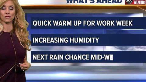 Action Weather Forecast