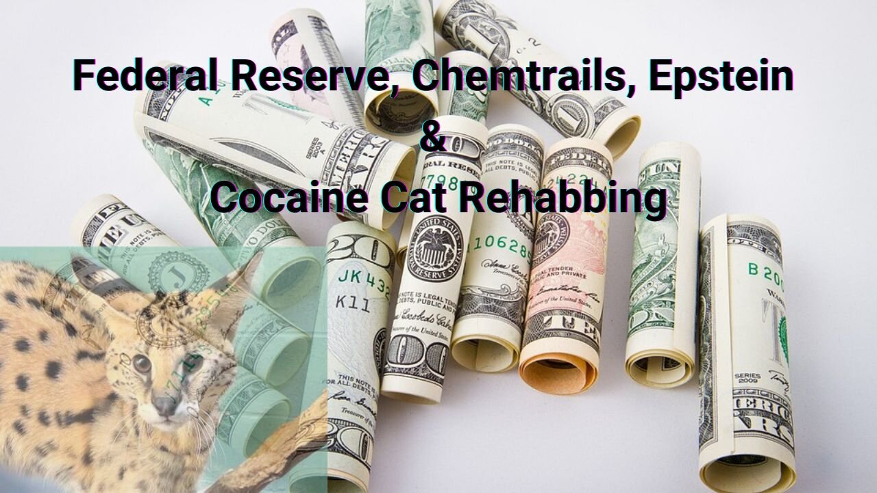 Federal Reserve, Chemtrails, Epstein & Cocaine Cat Rehabbing