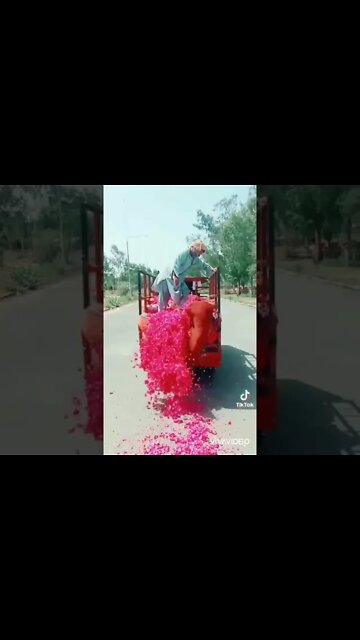 لاہور جانے والے افراد اپنے ساتھ پھول لے کر جائیں۔ لاہوریوں نے پھولوں والی ساری دکانیں خالی کر دی ہیں