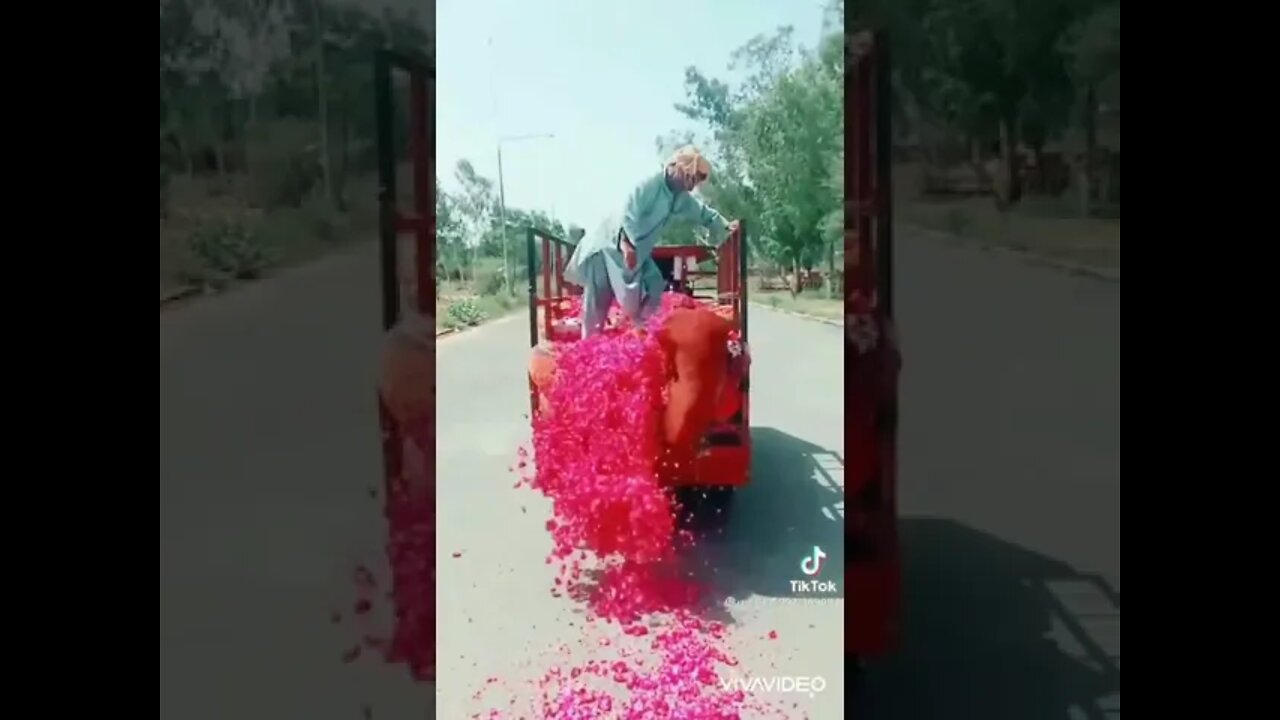 لاہور جانے والے افراد اپنے ساتھ پھول لے کر جائیں۔ لاہوریوں نے پھولوں والی ساری دکانیں خالی کر دی ہیں