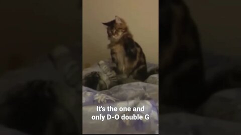 MEME is the one and only D-O double G #shorts