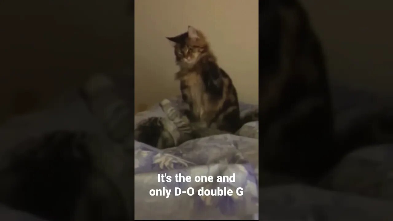 MEME is the one and only D-O double G #shorts