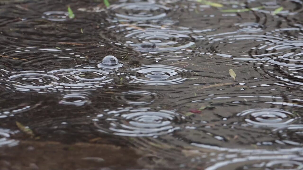 Falling raindrops video