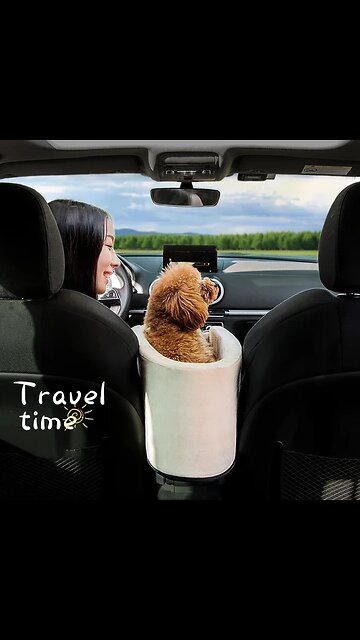 Portable Cat Dog Bed Travel Central Control Car Safety