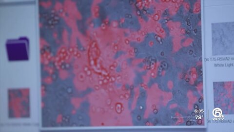 FDA authorizes Novavax's protein-based COVID-19 vaccine