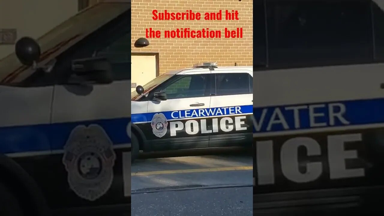 Tyrant VanGeli Lies About Name Then Tucks Tail. Clearwater Police. Florida #Shorts
