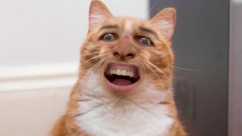 Top 10 Crazy Internet Conspiracies