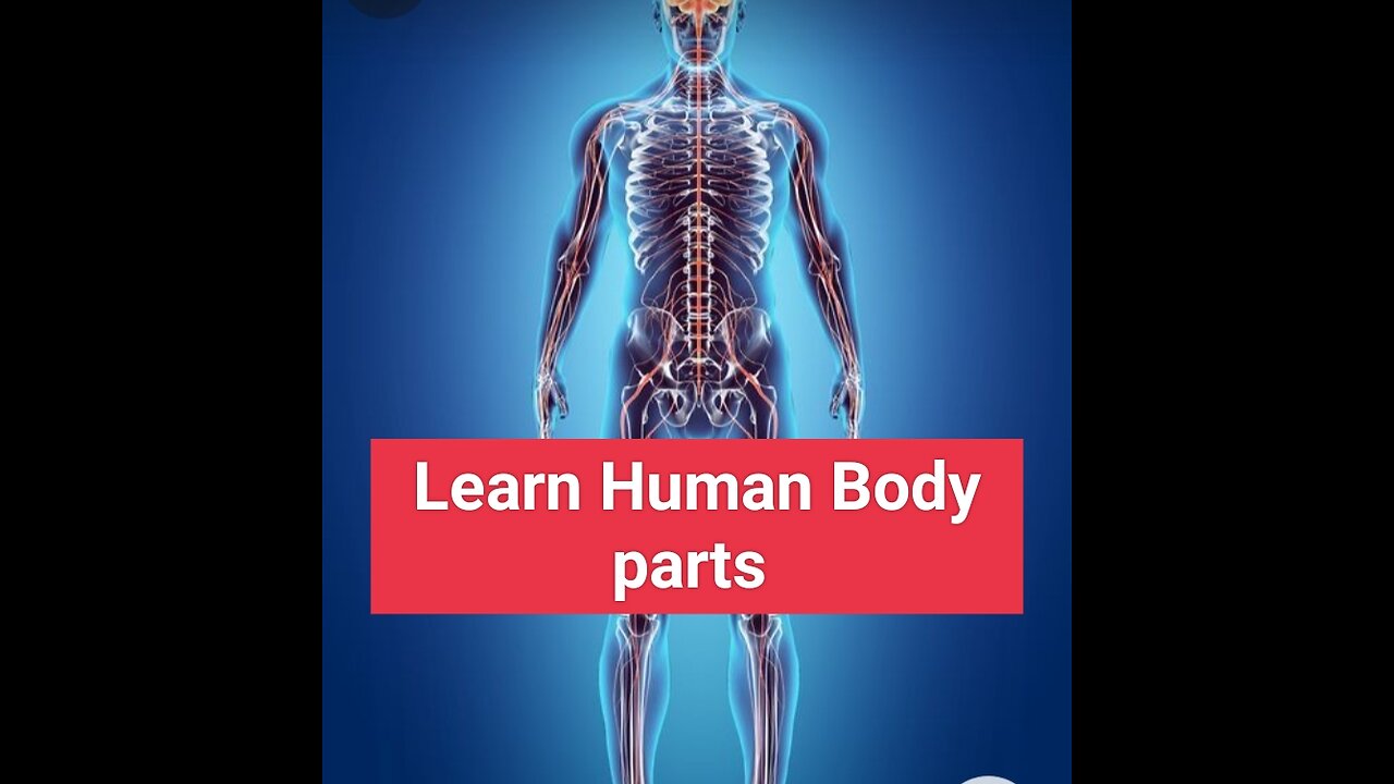 Learn Human body parts step by step