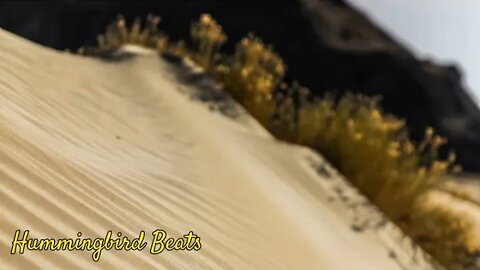 Ripple by tubebackr (No Copyright Music)