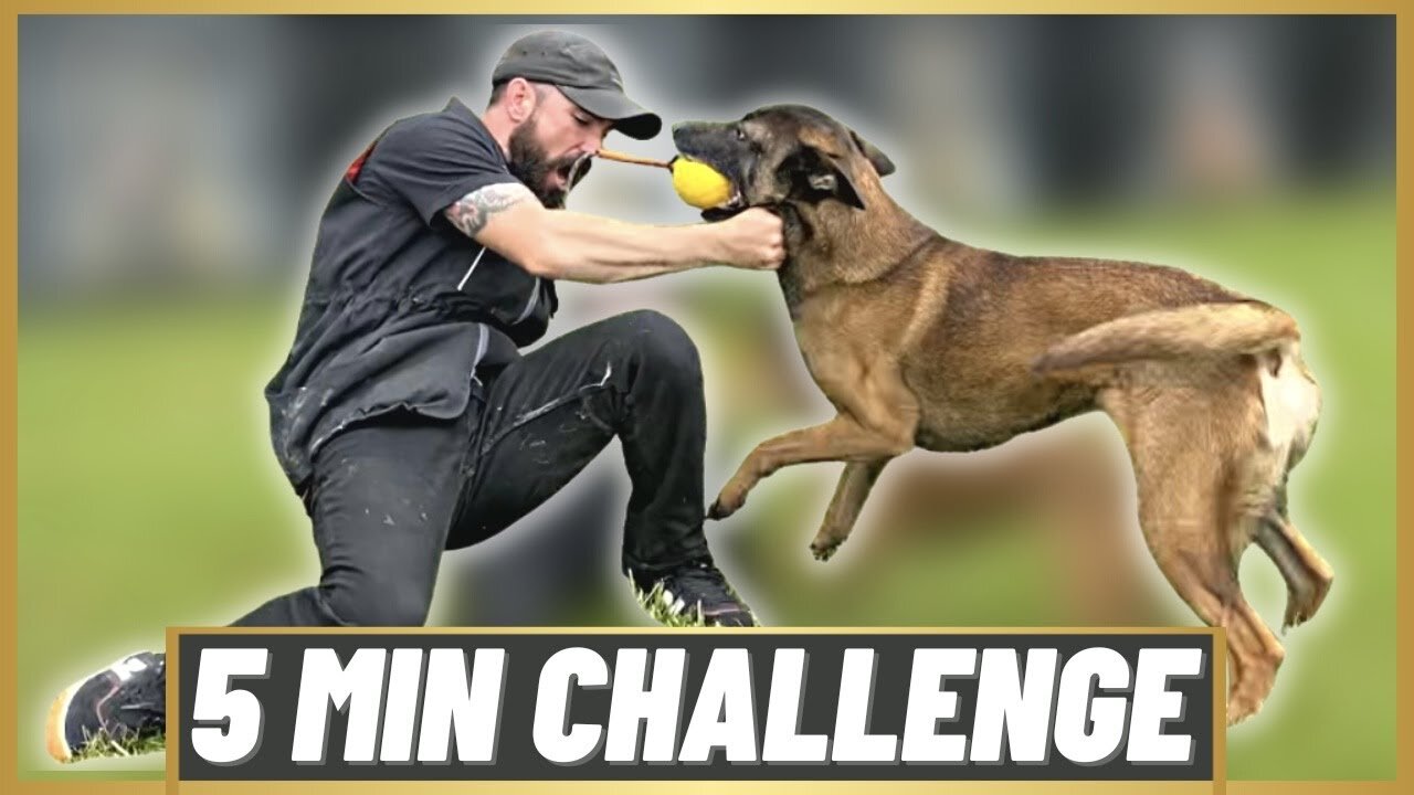 DON'T MOVE YOUR FEET!! 5 Minute Challenge W/ My MALINOIS!