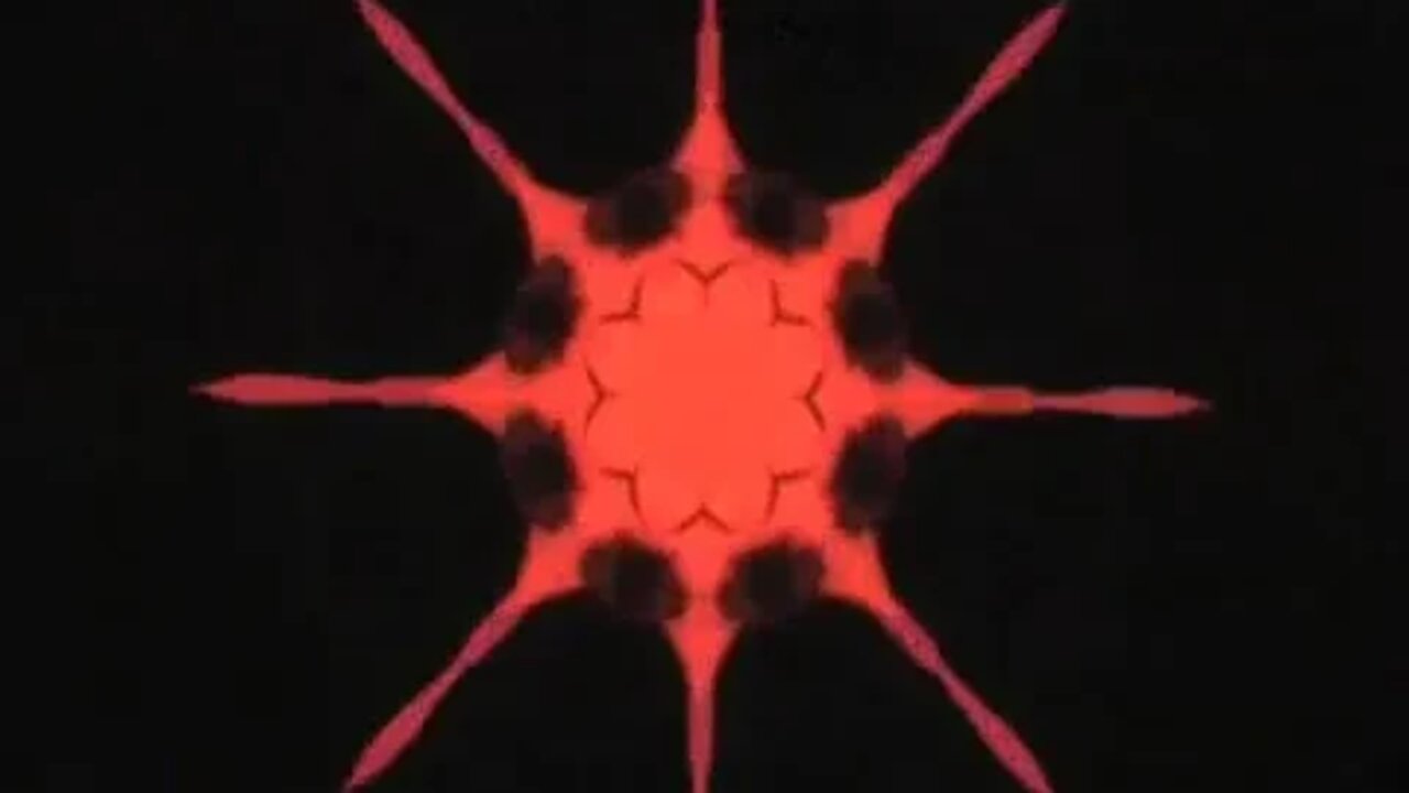 Hilarious Terrorist Freestyle