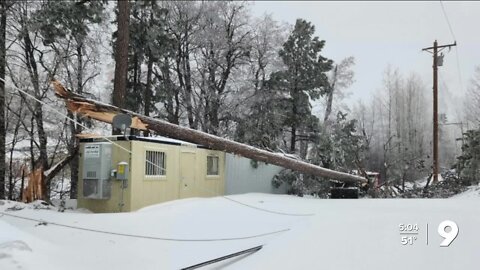 Winter storm damages Mt. Lemmon's Summerhaven