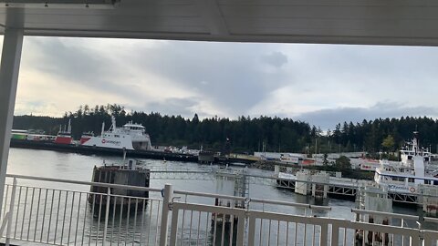 Live From The Ferry!