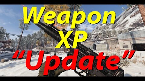 Weapon XP "Update" in Black Ops Cold War