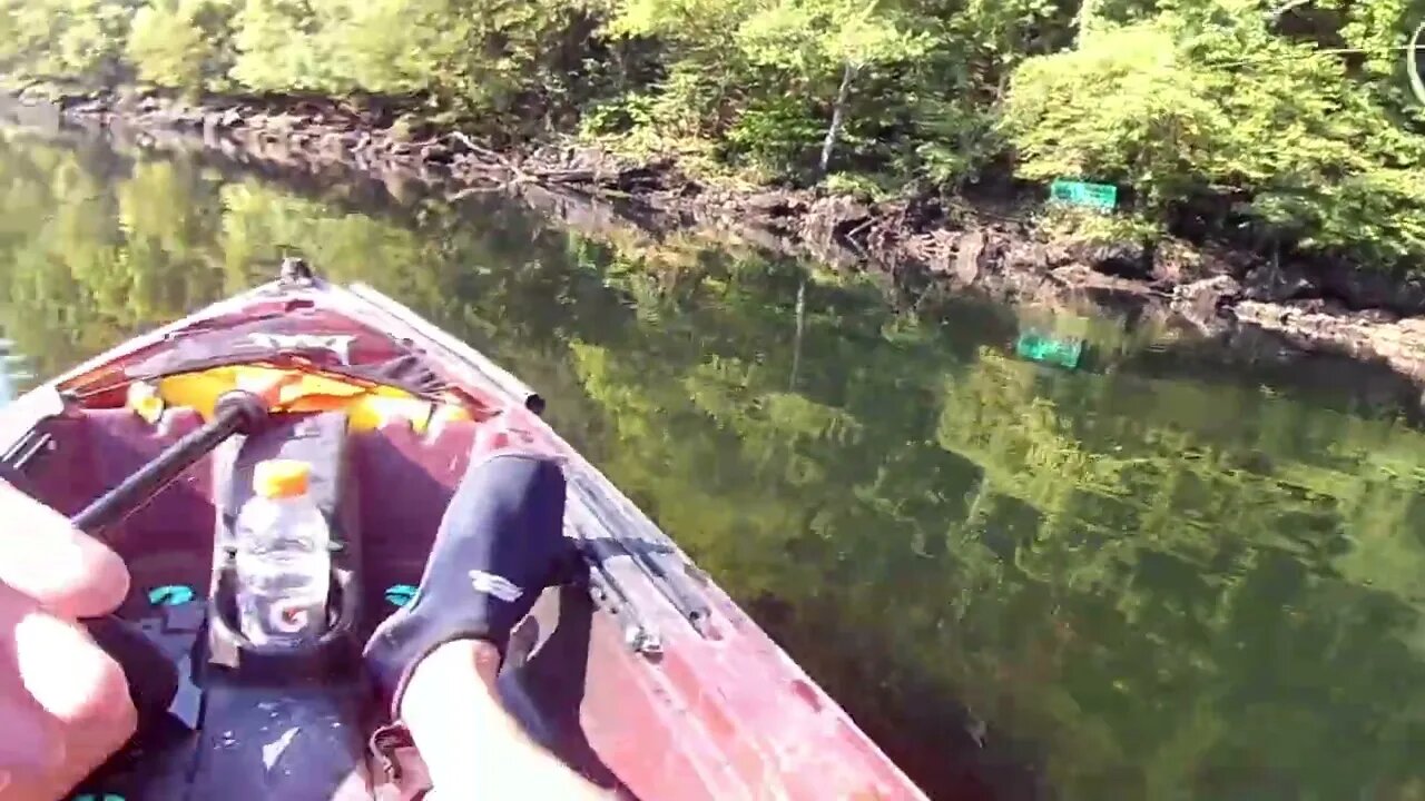 Episode #30 "Reflections" #Whiteriver #Arkansas #Browntrout #FlysandGuides