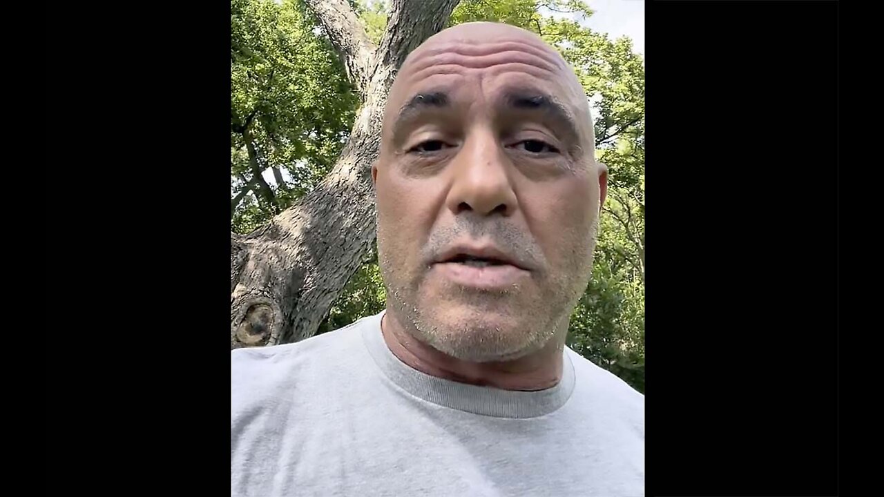 Joe Rogan Replies on Spotify "Misinformation" Rumours