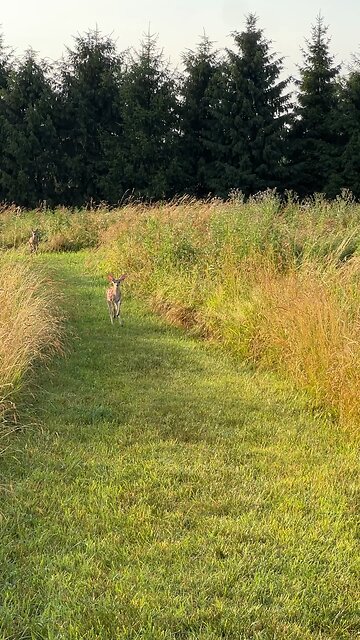 Wait hold up, you ain’t my dad.