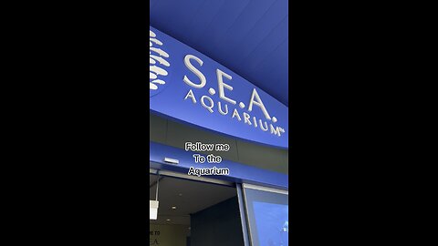 SEA aquarium