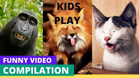 Funny Kids Videos