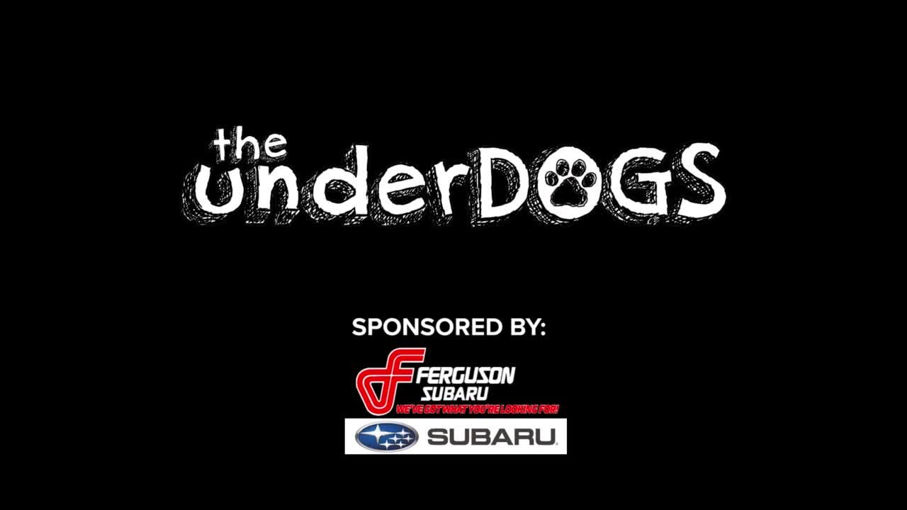 PROMO: The Underdogs