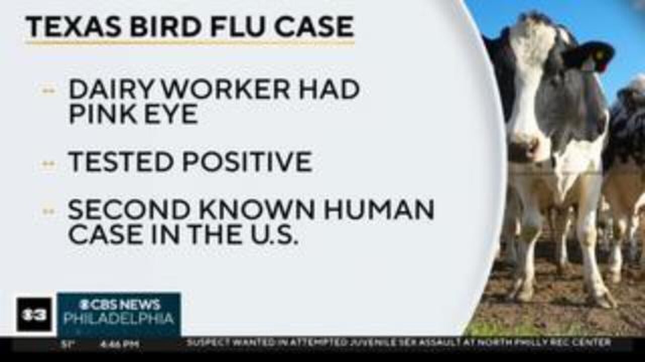 America’s largest eggs producer stops production in Texas because of "Bird Flu"