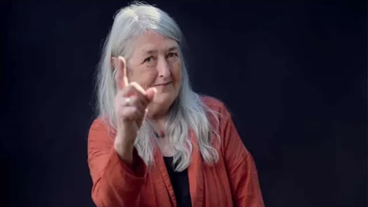 Mary Beard: The Gaping Flaws in a Liberal Icon