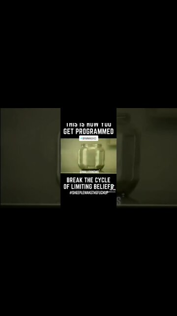 Break the cycle
