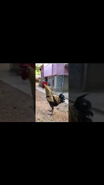 Breaking News (War-Related) #shorts #tiktok #reels