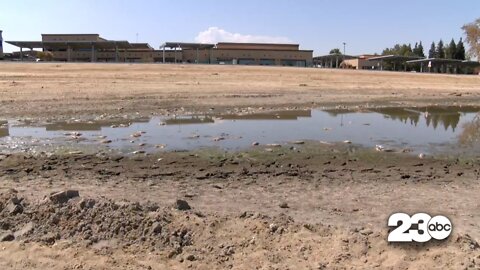 City of Bakersfield speaks on the condition of Truxton Lake