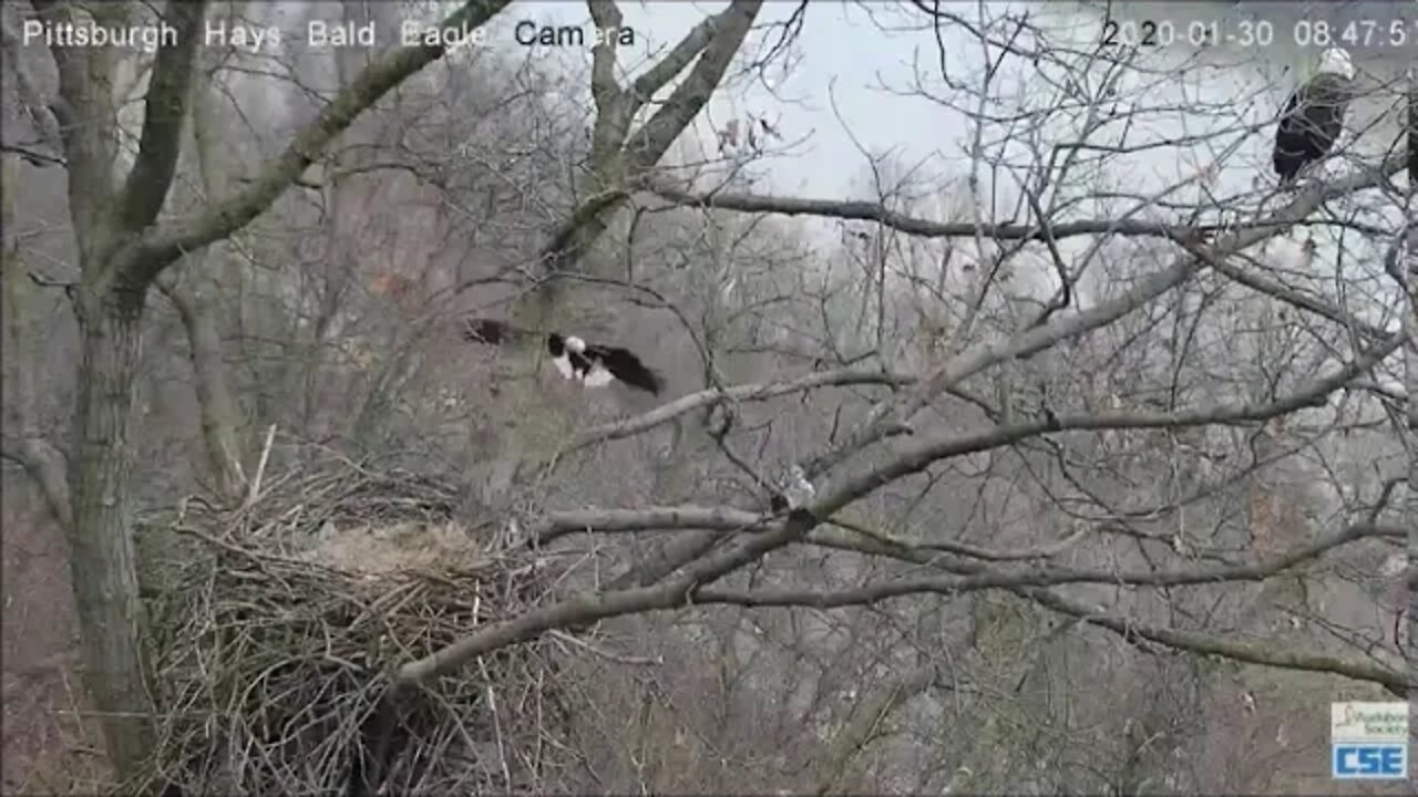 Hays Eagles Dad flies a long way with stick 13029 847am