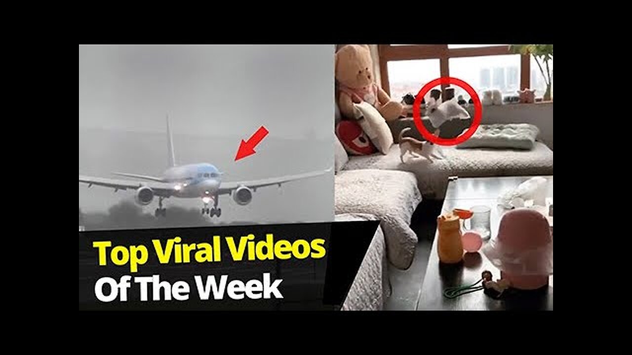 Top 10 Viral Videos Of The Week - April 2024