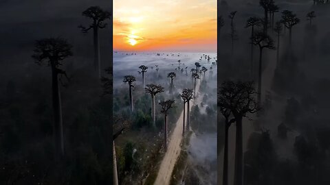 It's vacation time! #vacation #travelman #travel #love #subscribe