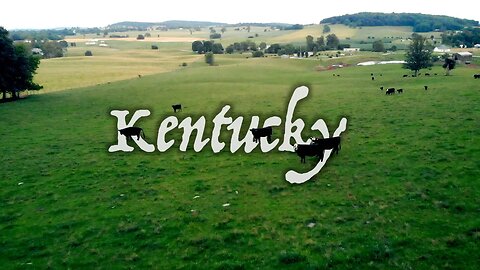 Rows of Corn, Grazing Cattle and Beautiful Green Fields is Kentucky Country Living!