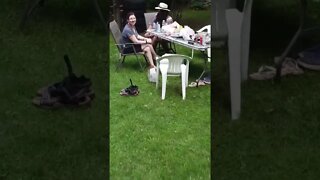 Drone Attack at BBQ