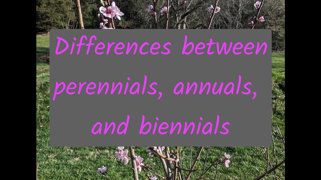 Differences between Perennials, Annuals, and Biennials