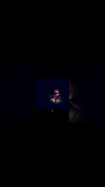 what are these things #short