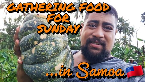 FARMING LIFE IN SAMOA | MATAMAUGAAGROFARMING | TARO LIFE