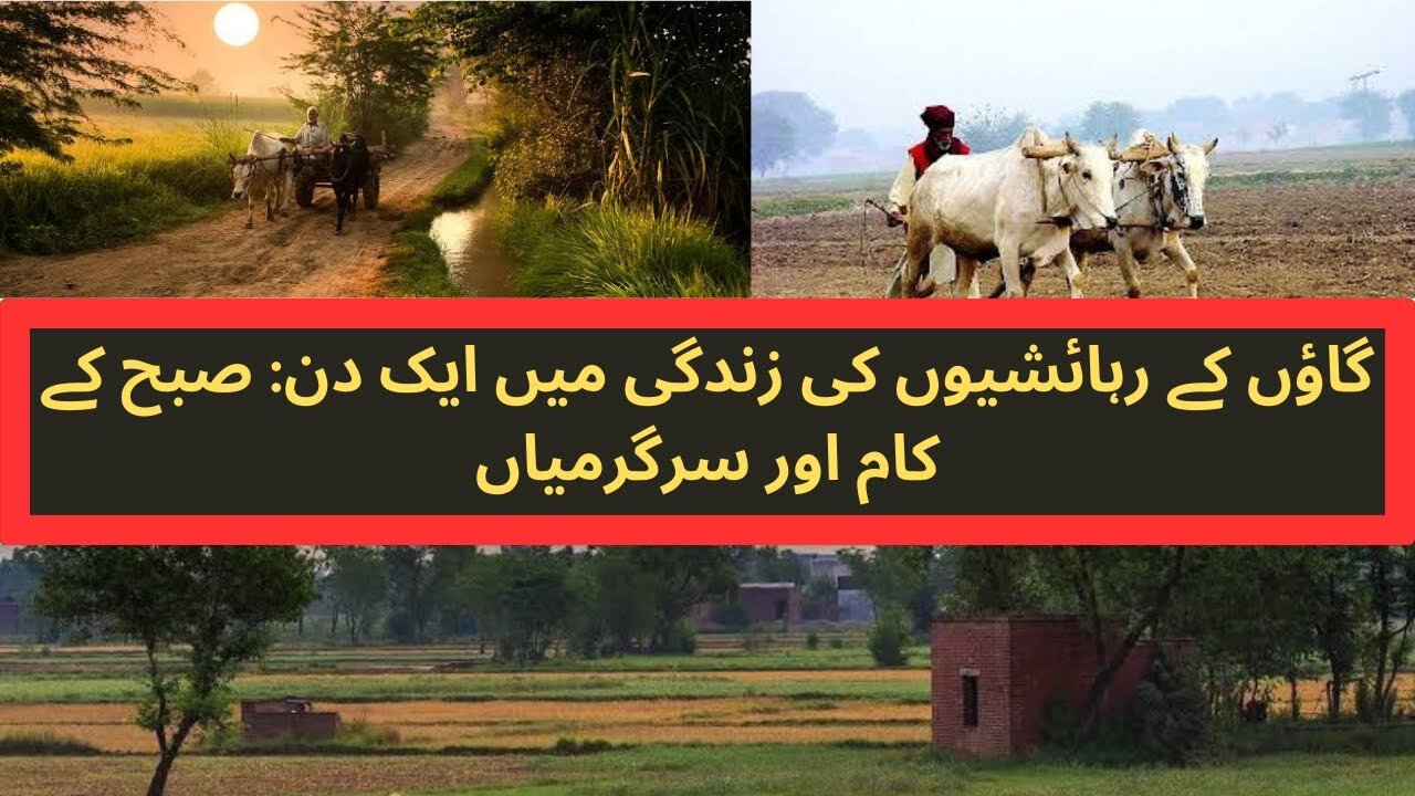 A Day in the Life of Village Residents: Morning Chores and Activities