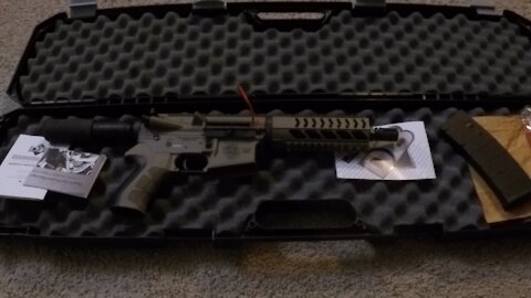 Blasian Babies DaDa Diamondback AR-15 Pistol Unboxing!