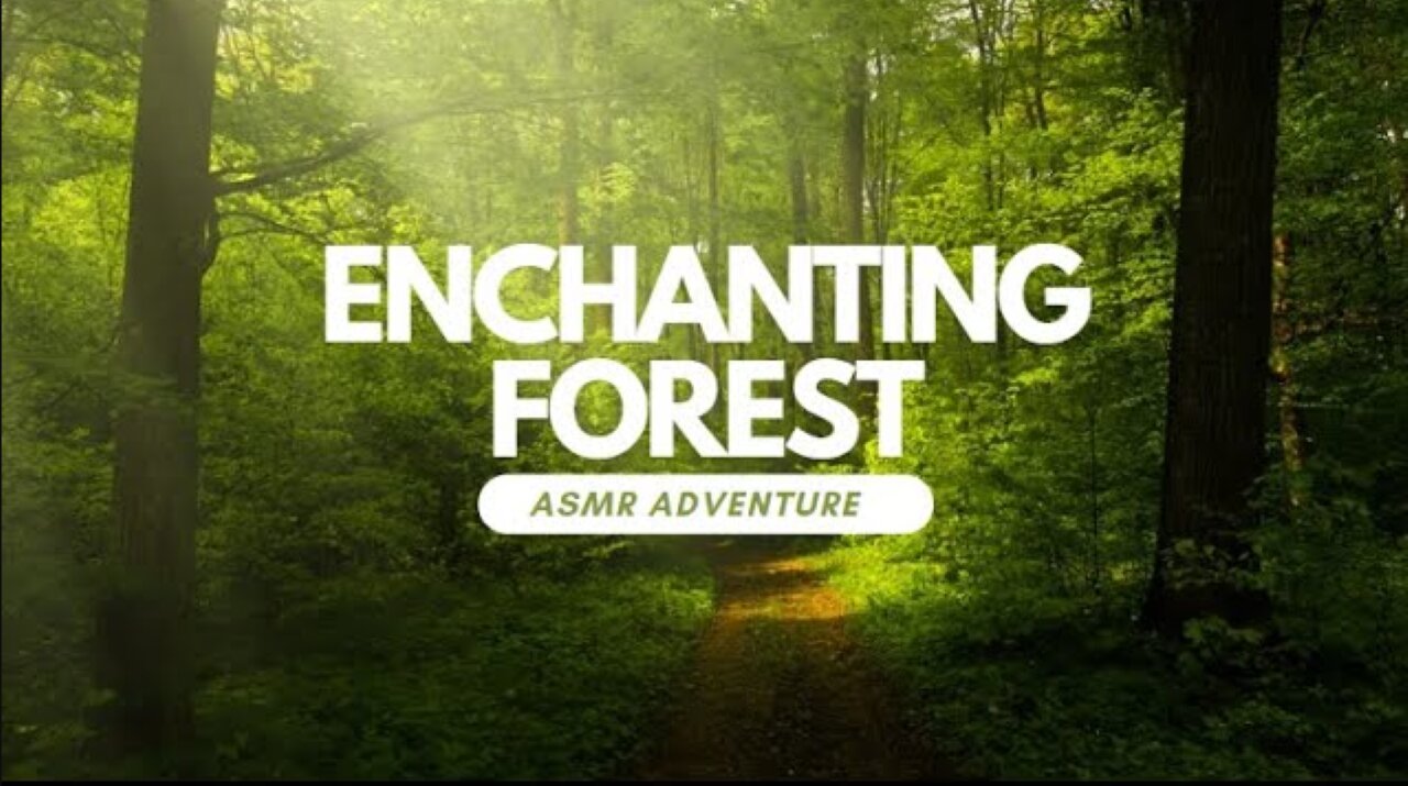 Enchanting Forest ASMR Adventure |enchanting forest asmr adventure,enchanted forest asmr roleplay