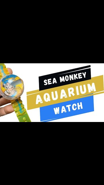 Sea Monkey Watch