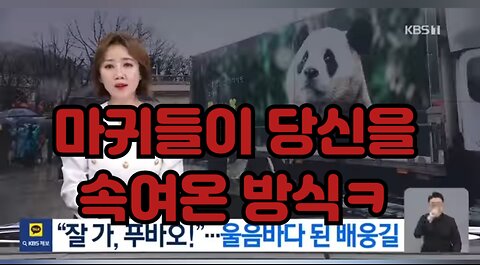 그만 좀 속읍시다.